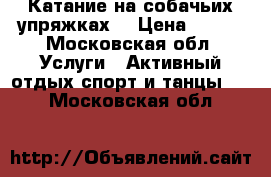 Катание на собачьих упряжках  › Цена ­ 500 - Московская обл. Услуги » Активный отдых,спорт и танцы   . Московская обл.